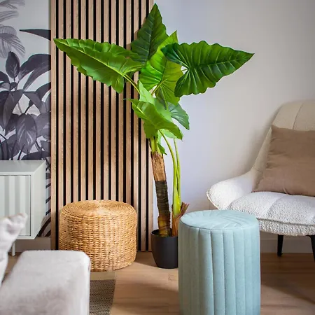 Nouveau Jungle Village Wifi Netflix Clim